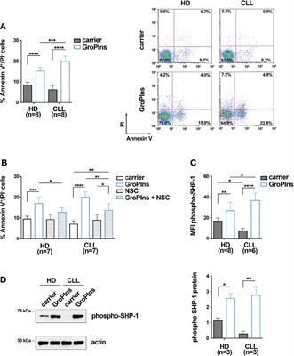 Glycerophosphoinositol Promotes Apoptosis of Chronic Lymphocytic Leukemia Cells by Enhancing Bax Expression and Activation